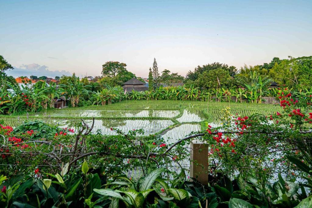 Villa Mimpi Nyata Canggu  Luaran gambar